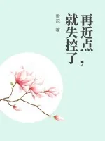 《再近点，就失控了》小说封面
