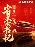 《官场：从一等功臣到省委书记》小说封面