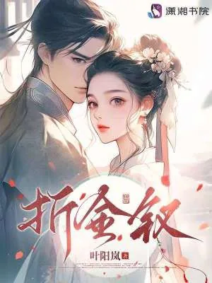 《折金钗》小说封面