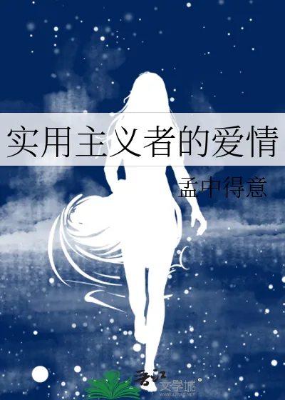 《实用主义者的爱情》小说封面