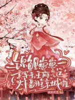 《锦鲤崽崽一挥手，王府气运炸翻全京城啦》小说封面