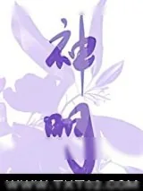 《神明的体温》小说封面