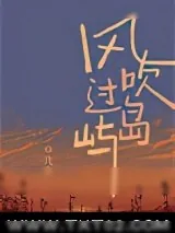 《风吹过岛屿》小说封面