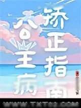 《公主病矫正指南》小说封面