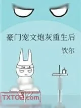 《豪门宠文炮灰重生后》小说封面