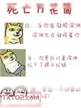 《死亡万花筒》小说封面