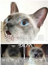 《死而复生之后我从老头变成了绝世大美人》小说封面