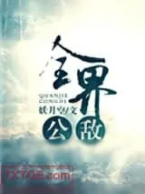 《全界公敌》小说封面