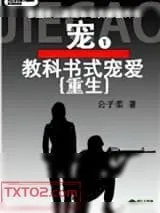 《教科书式宠爱[重生]》小说封面