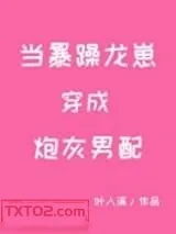 《当暴躁龙崽穿成炮灰男配》小说封面