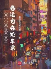 《我，满级大佬，春运也在抢车票！》小说封面