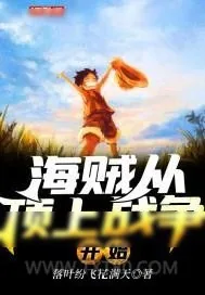 《海贼从顶上战争开始》小说封面