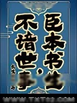 《臣本书生，不谙世事……》小说封面