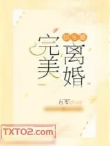 《完美离婚[娱乐圈]》小说封面