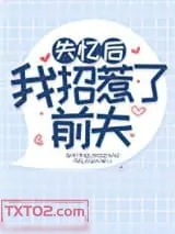 《失忆后我招惹了前夫》小说封面