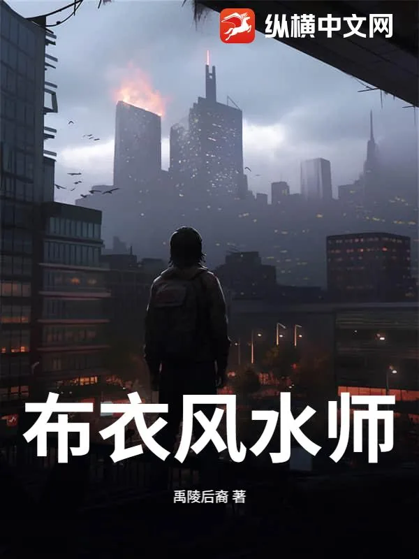 《布衣风水师》小说封面