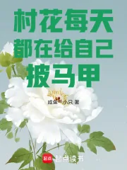 《村花每天都在给自己披马甲》小说封面
