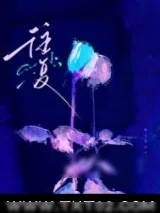《往复》小说封面