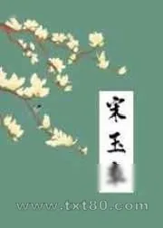 《宋玉章》小说封面