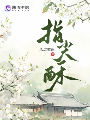 《指尖酥》小说封面