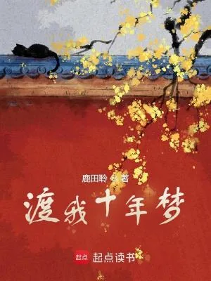 《渡我十年梦》小说封面