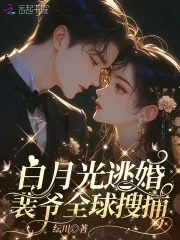 《白月光逃婚，裴爷全球搜捕》小说封面