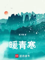 《暖青寒》小说封面