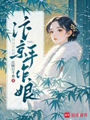 《汴京手作娘》小说封面