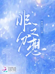 《非分之想》小说封面