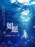 《如愿》小说封面