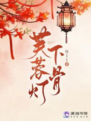 《芙蓉灯下骨》小说封面
