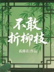 《不敢折柳枝》小说封面