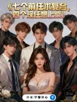 《七个前任求复合，四个现任等上桌》小说封面