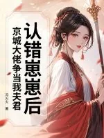 《认错崽崽后，京城大佬争当我夫君》小说封面