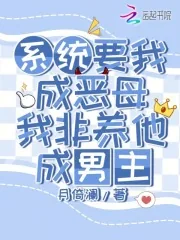 《系统要我成恶母，我非养他成男主》小说封面