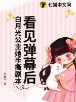 《看见弹幕后，白月光公主她手撕剧本！》小说封面