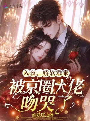 《入夜，娇软乖乖被京圈大佬吻哭了》小说封面