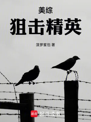 《美综：狙击精英》小说封面