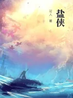 《盐侠》小说封面