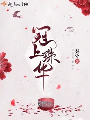 《冠上珠华》小说封面
