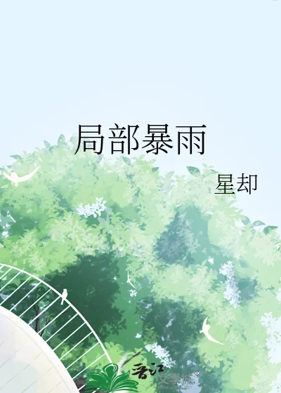 《局部暴雨》小说封面