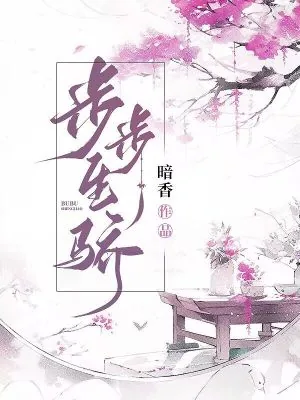 《步步生骄》小说封面