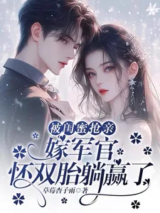 《被闺蜜抢亲，嫁军官怀双胎躺赢了》小说封面