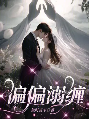 《偏偏溺缠》小说封面
