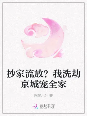 《抄家流放？我洗劫京城宠全家》小说封面
