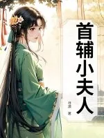 《首辅小夫人》小说封面