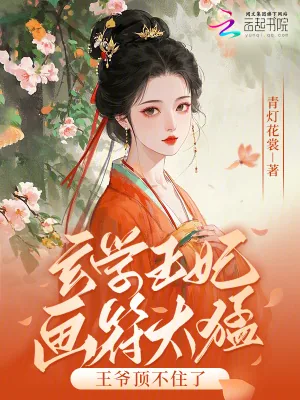 《玄学王妃画符太猛，王爷顶不住了》小说封面