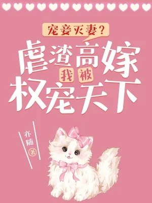 《宠妾灭妻？虐渣高嫁我被权宠天下》小说封面