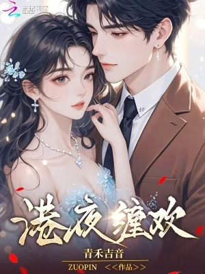 《港夜缠欢》小说封面