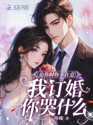《追你时你不在意，我订婚你哭什么》小说封面
